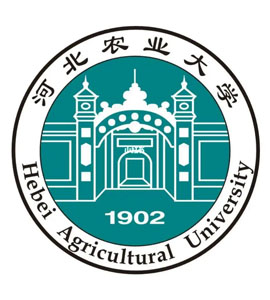 大名河北农业大学